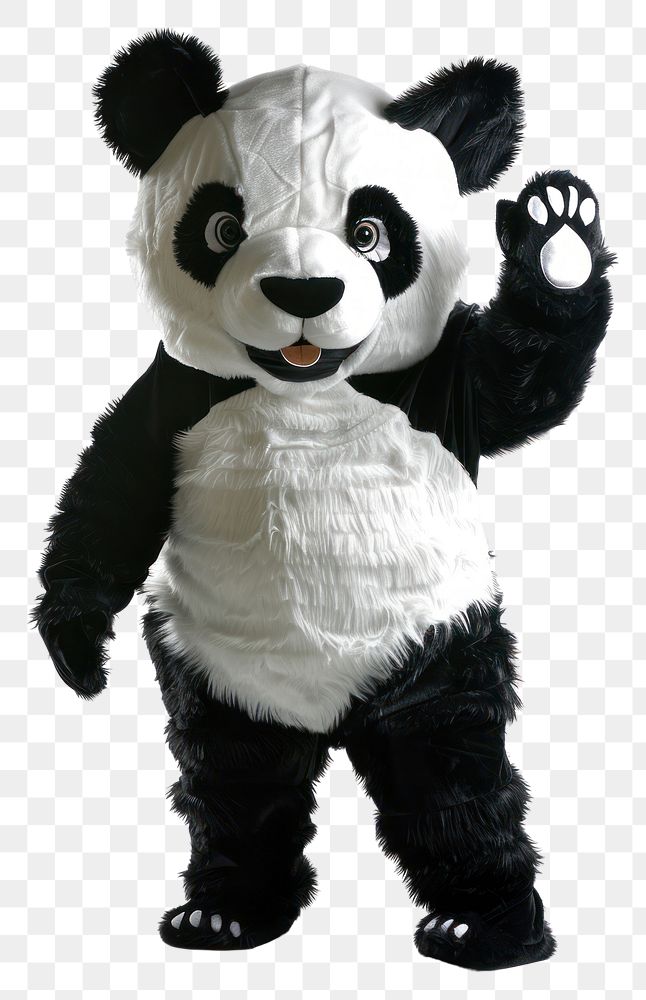PNG Chubby panda mascot costume plush toy.