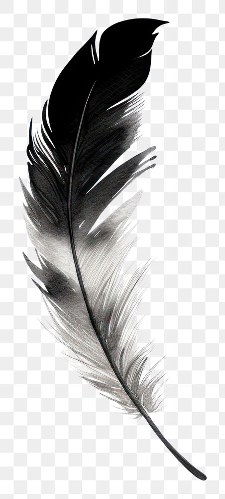 PNG Silhouette Feather silhouette feather white