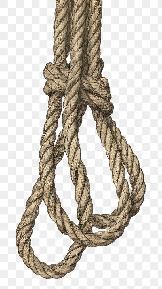 PNG Hanging rope knot.