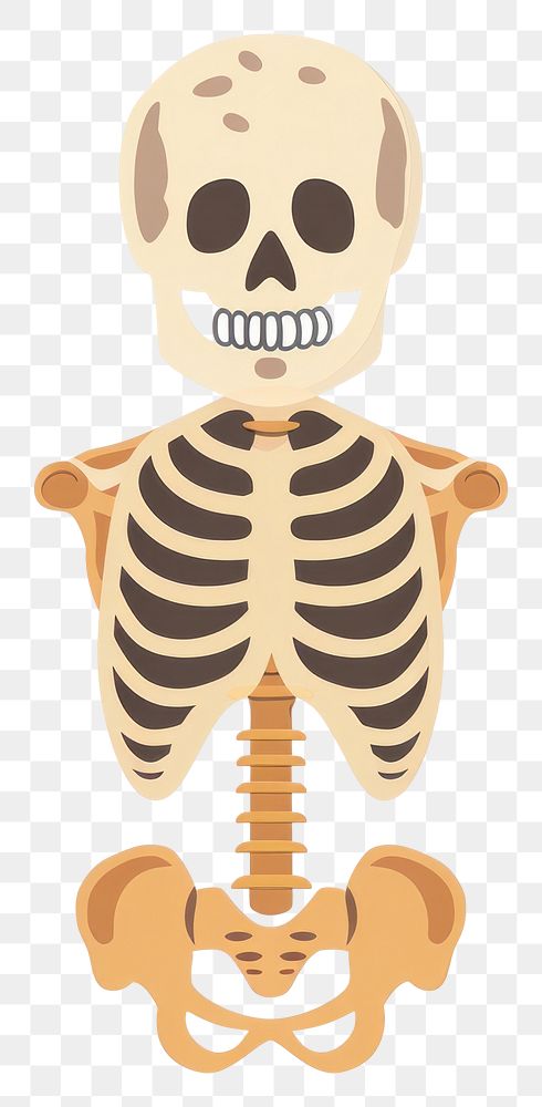 PNG Cute minimal icon human skeleton person.