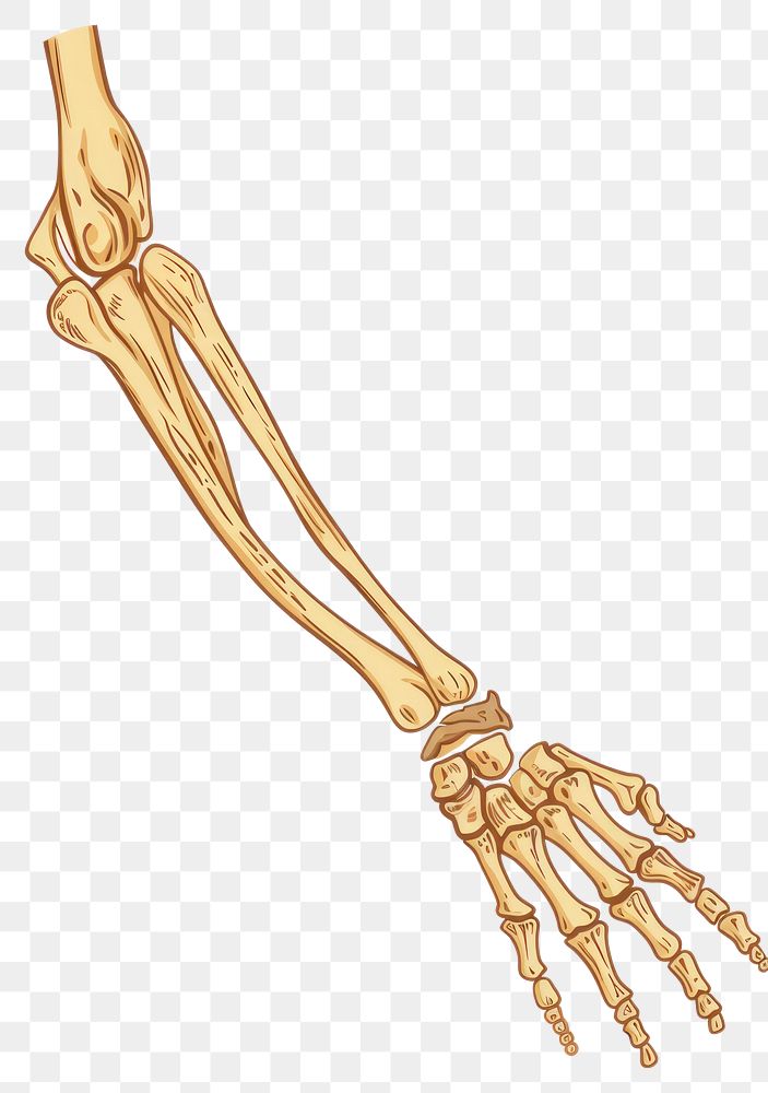 PNG Minimal arm bone icon electronics hardware skeleton.