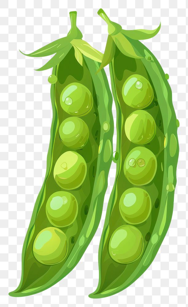 PNG Flat illustration green pea vegetable plant food.