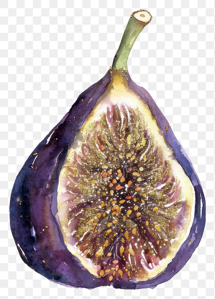 PNG A fig produce ketchup fruit