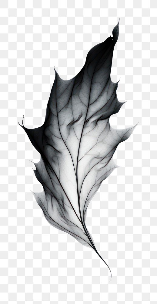 Abstract smoke of maple leaf art person.