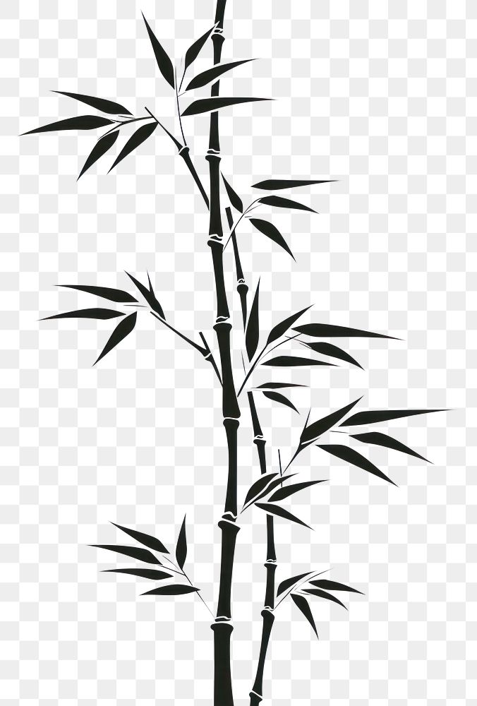 PNG Bamboo silhouette clip art plant white background drawing.