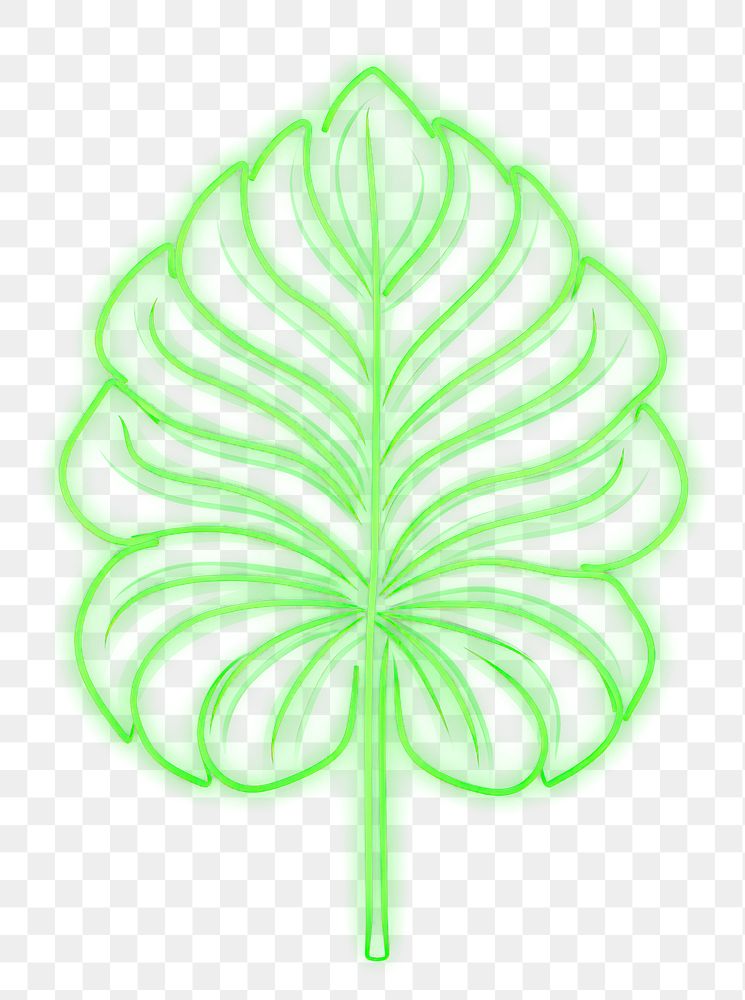 PNG Monstera icon neon nature plant