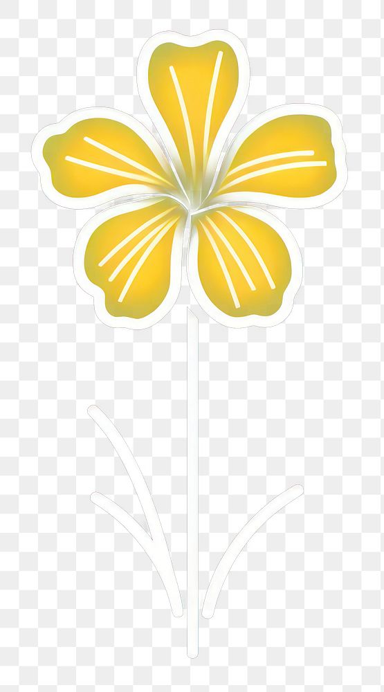 PNG Daffodil icon flower petal plant.