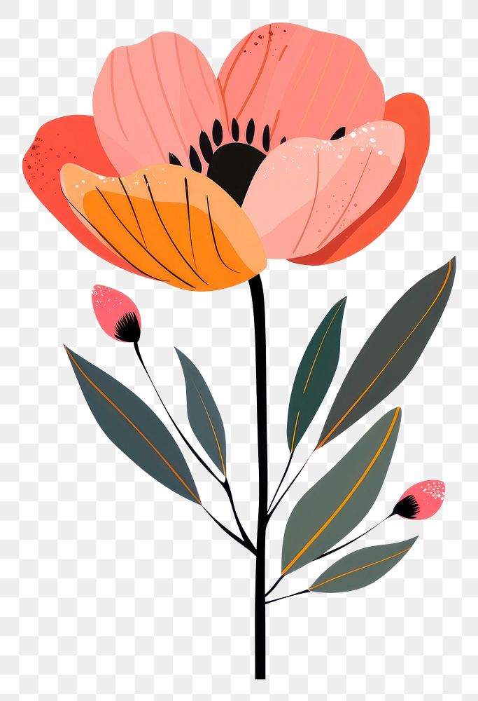 PNG Aesthetic flower in boho art blossom anemone.