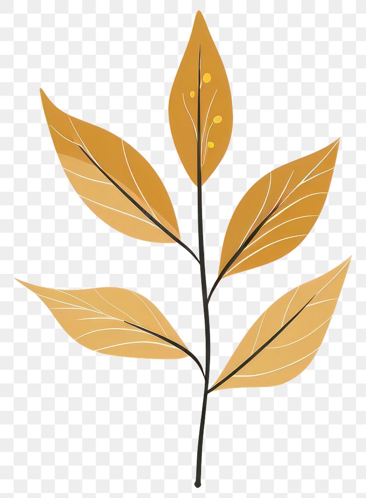 PNG Boho aesthetic leaf logo art pattern herbal.