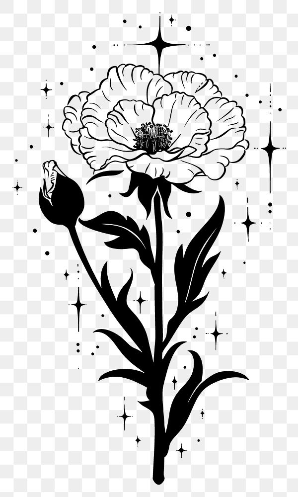PNG Surreal aesthetic carnation logo art illustrated blossom.
