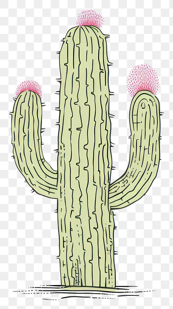 PNG A vector graphic of cactus plant smoke pipe.
