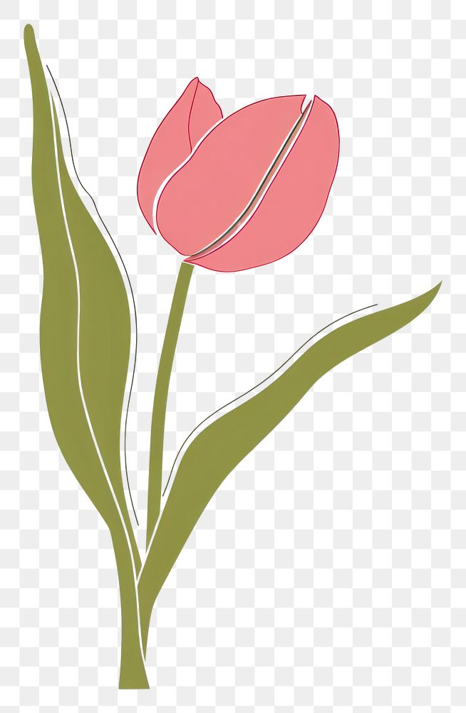 PNG Funky cute vector tulip dynamite weaponry blossom.