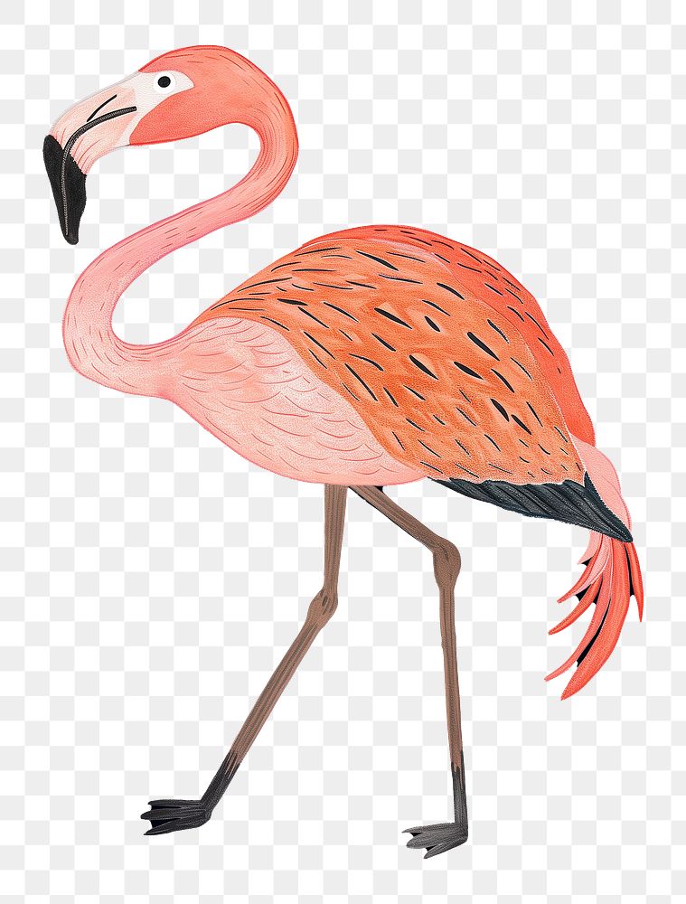 Flamingo png wild animal digital art, transparent background