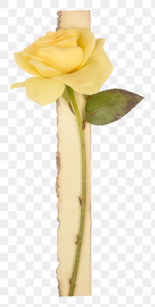 PNG  Yellow rose ephemera blossom flower symbol.