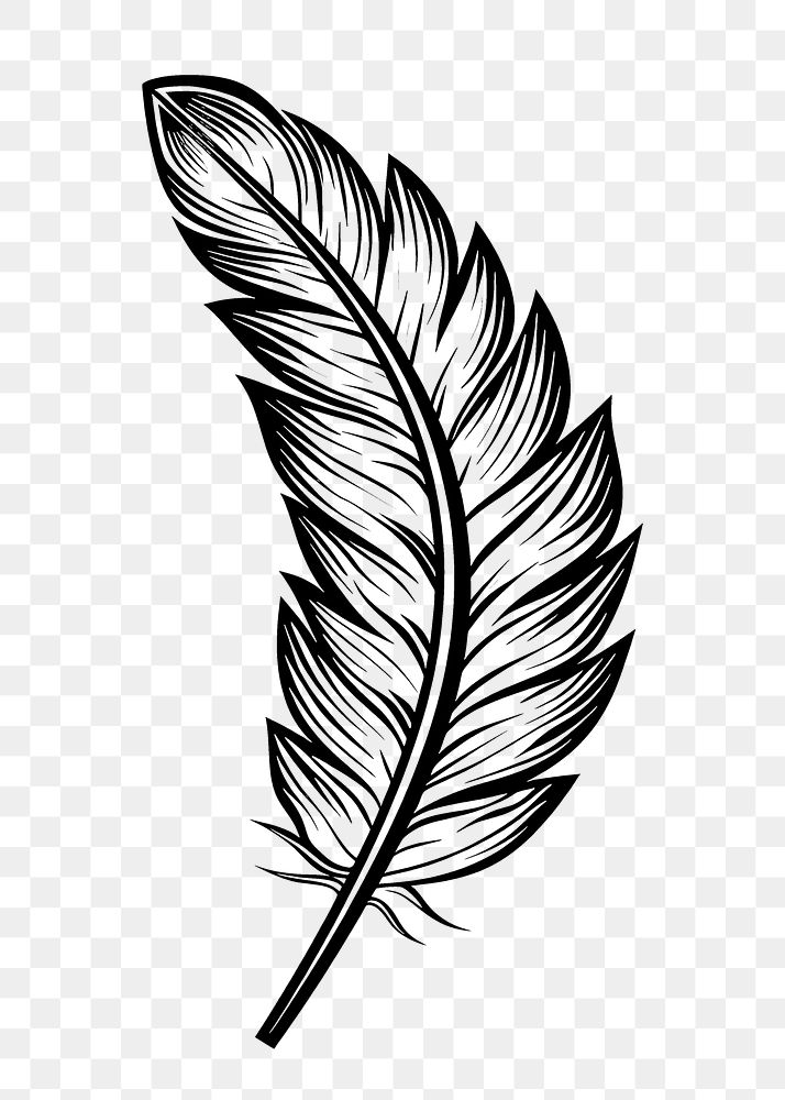 PNG Surreal aesthetic feather logo art illustrated drawing.