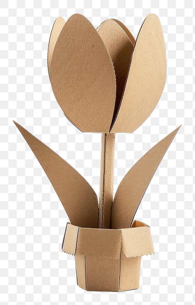 PNG Tulip cardboard cutlery carton.