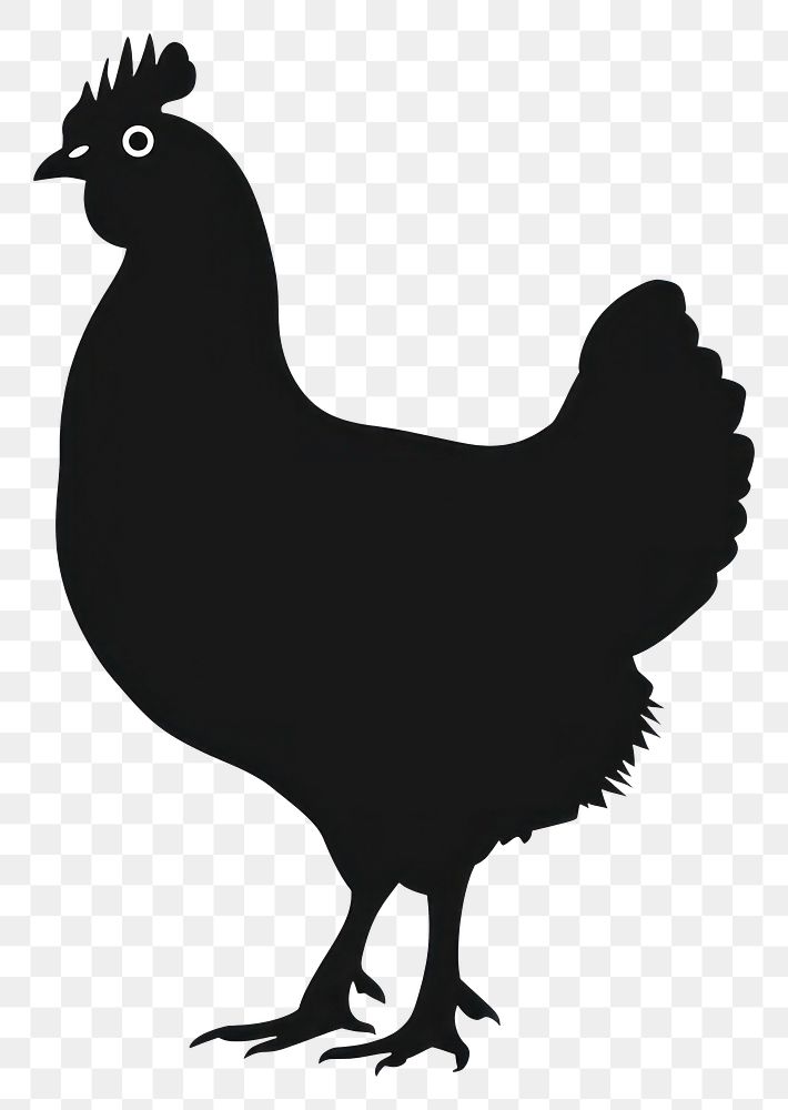 PNG Chicken silhouette poultry animal bird.
