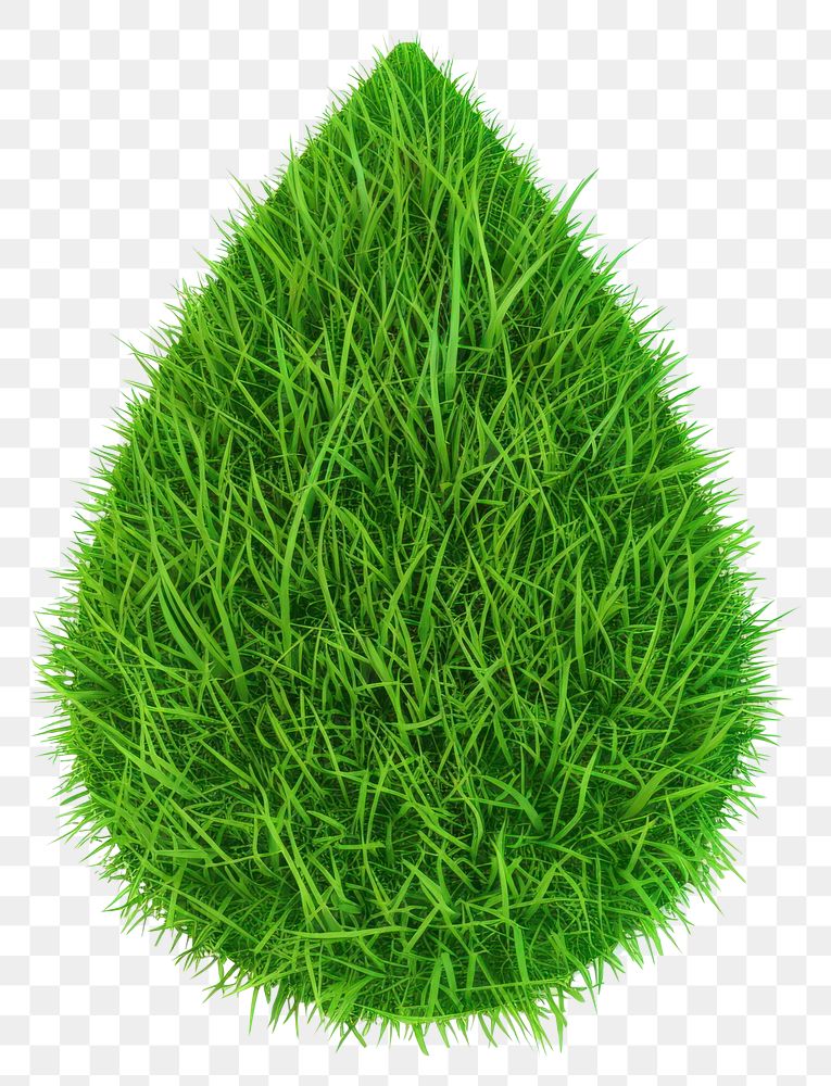 PNG Waterdrop shape lawn nature grass seasoning.