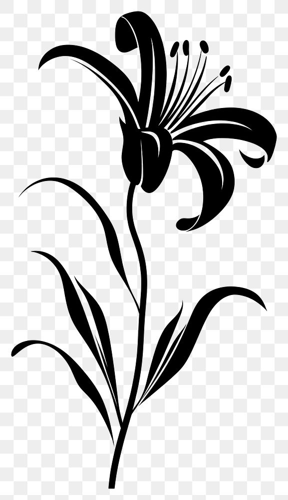 PNG Lily silhouette kangaroo blossom stencil
