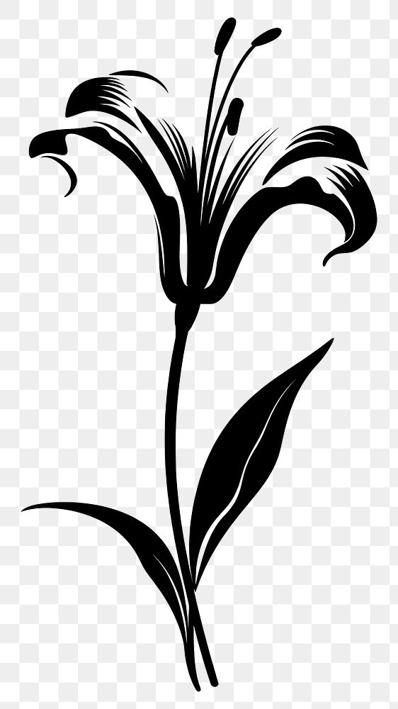 PNG Lily silhouette art blossom stencil.
