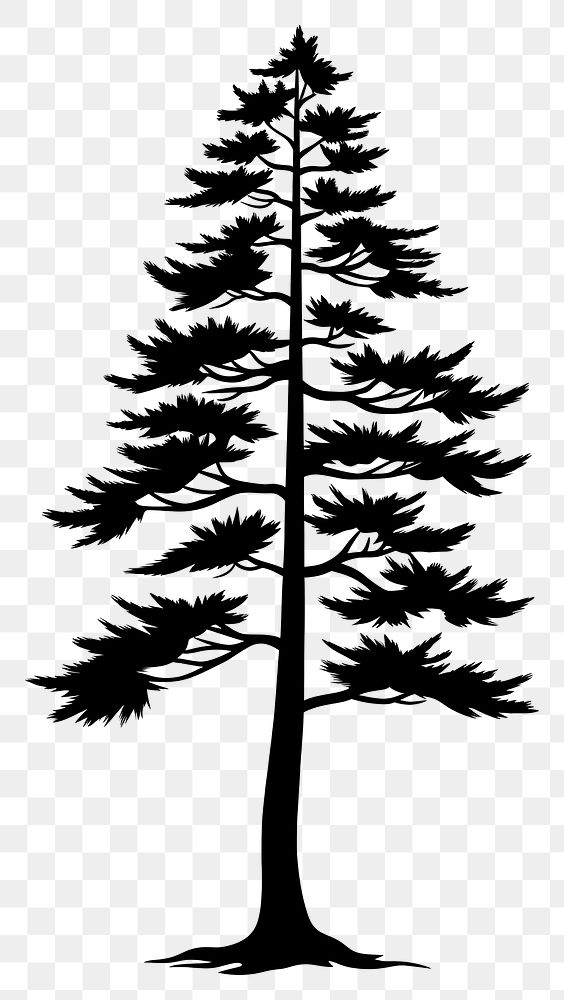 PNG Pine tree silhouette symbol stencil plant.