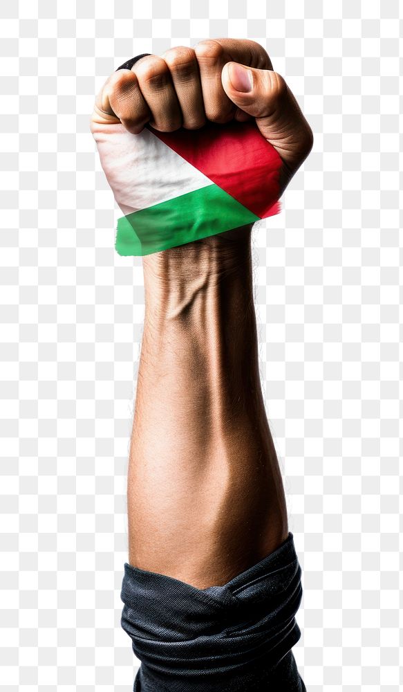 PNG STATE OF PALESTINE flag hand finger fist.