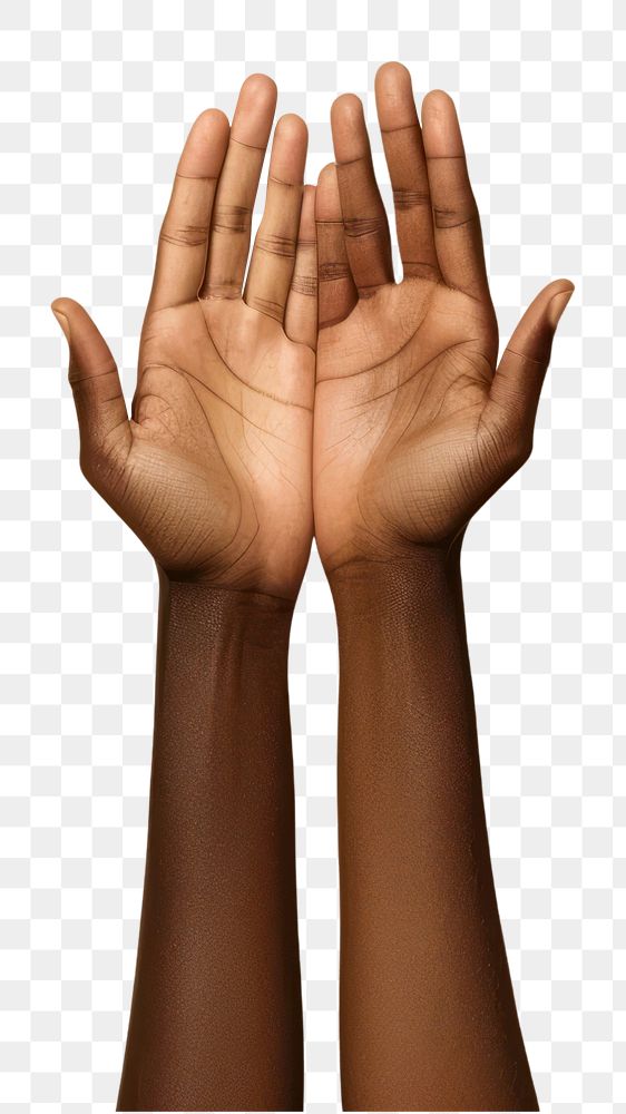 PNG Diversity hands finger person human.