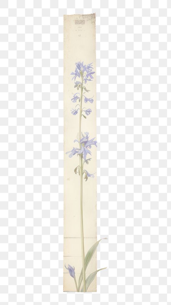 PNG Bluebells pattern flower plant.
