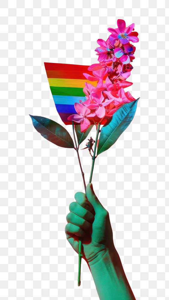 PNG Gay rights plant flag freshness.