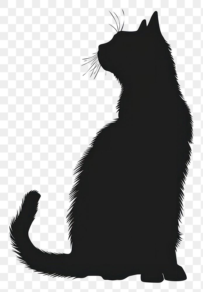 PNG A black cat silhouette clip art mammal animal pet