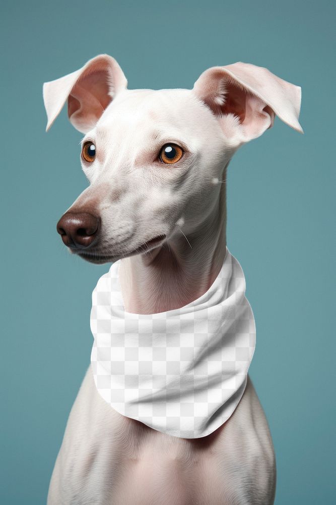 PNG Dog bandana mockup, transparent design