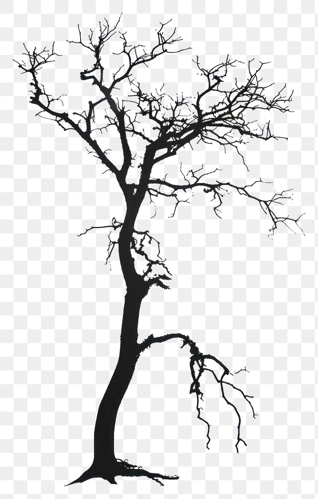 PNG Dead tree silhouette clip art drawing sketch plant.