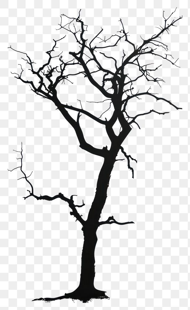 PNG Dead tree silhouette clip art drawing sketch plant