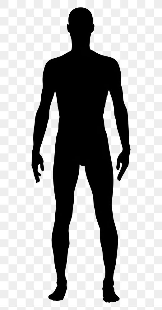 PNG Man mannequin silhouette clip art adult white background bodybuilding.