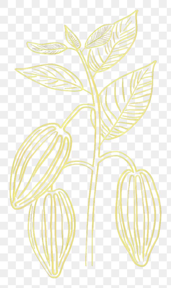 PNG Cacao plant sketch line leaf.