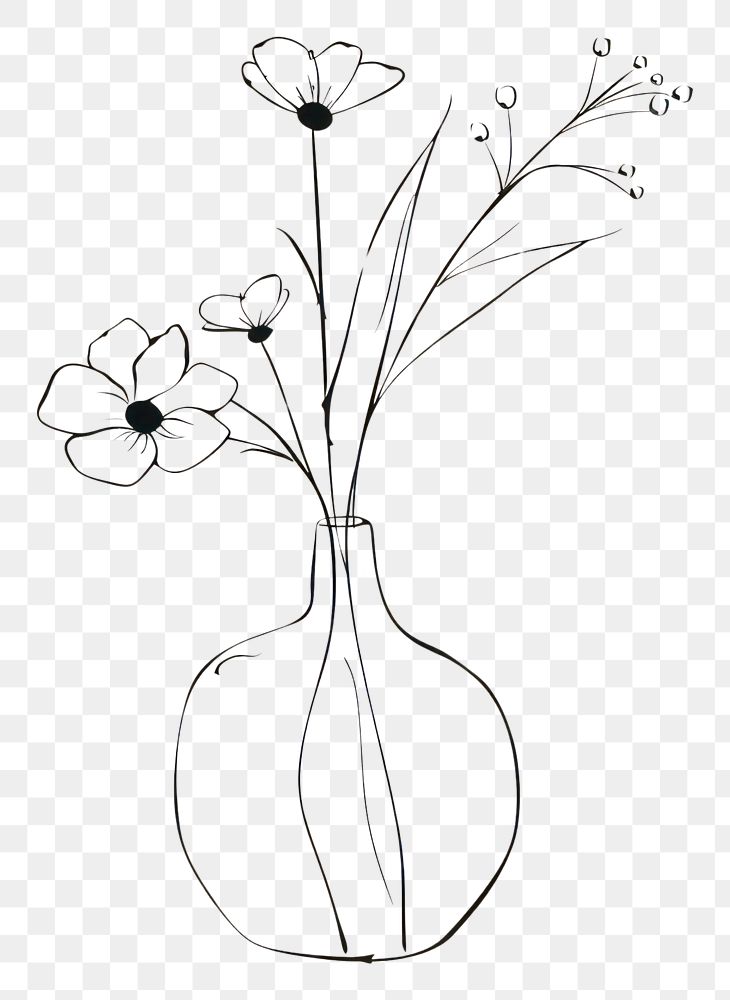 PNG Flower vase sketch drawing plant