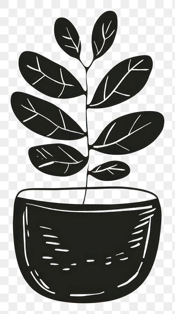 PNG Plant pot sketch leaf houseplant.