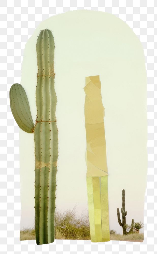 PNG Abstract cactus plant.