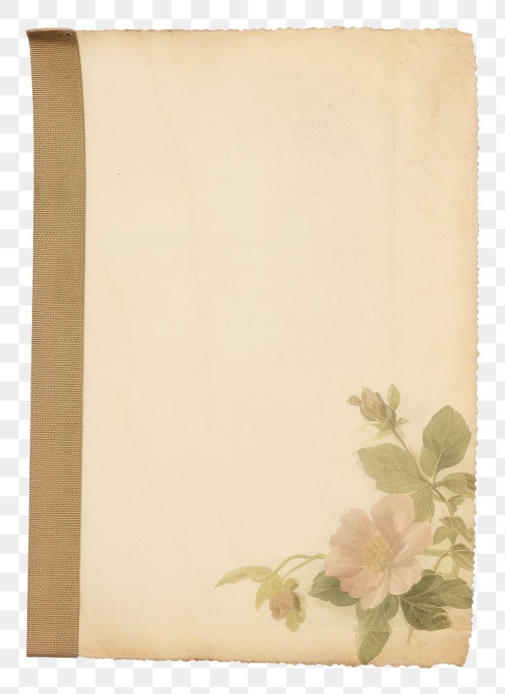 PNG Vintage floral paper old white background.