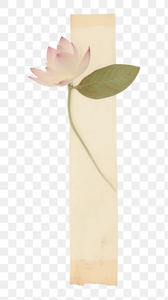 PNG Lotus flower petal plant paper.