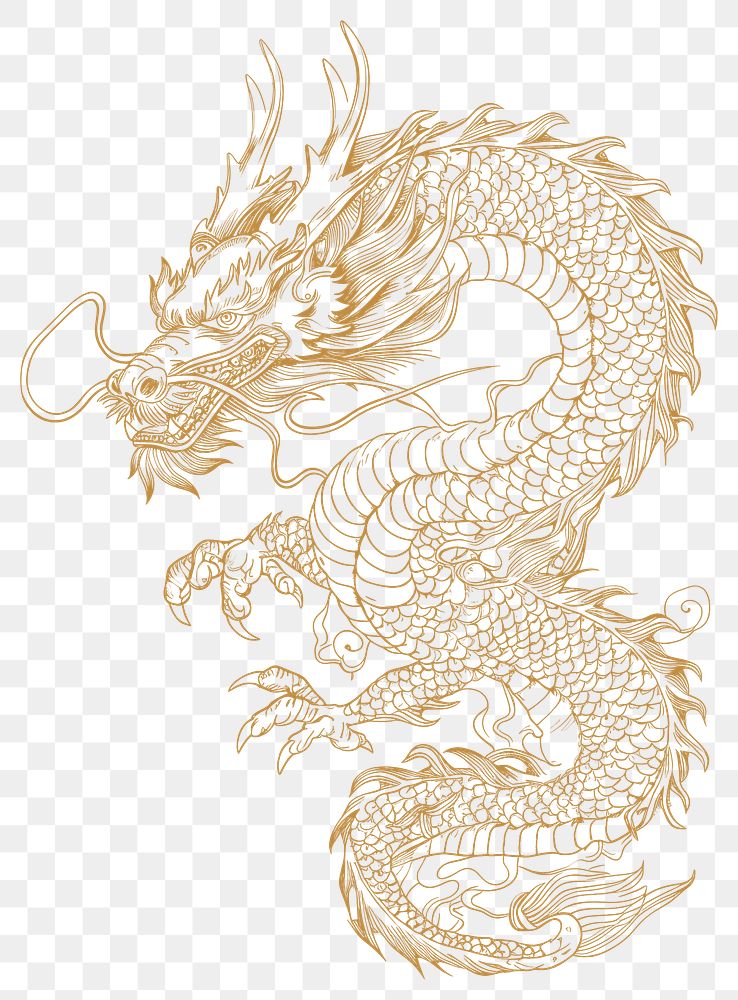 PNG  Chinese dragon white background chinese dragon calligraphy.