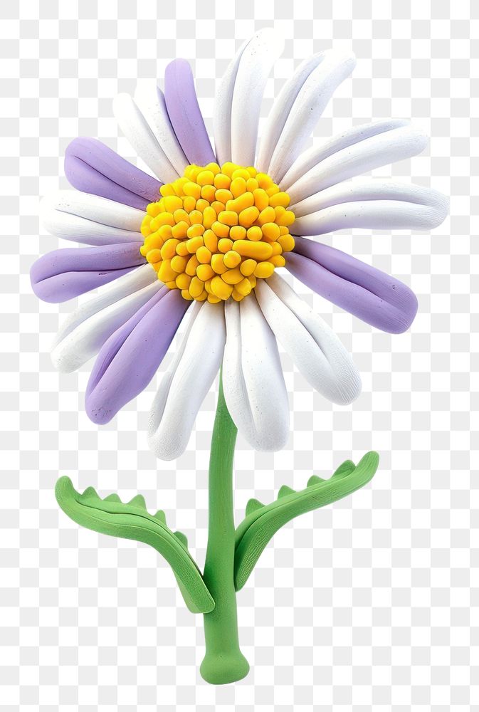 PNG Cute Plasticine clay 3d of aster flower blossom daisy plant.