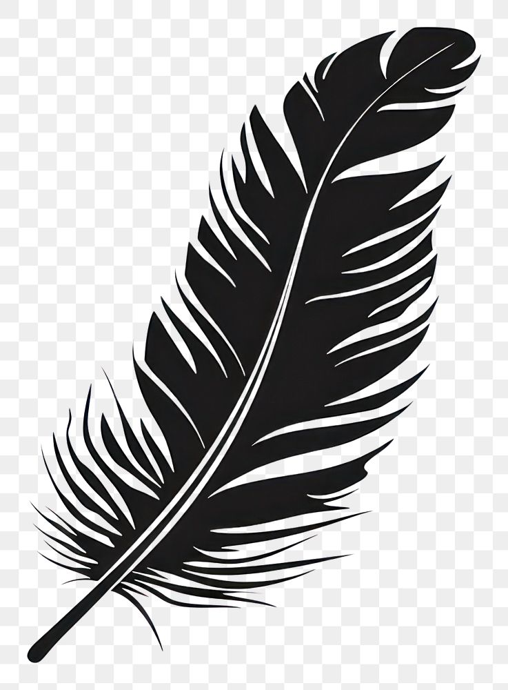 PNG Vintage feather drawing black leaf.