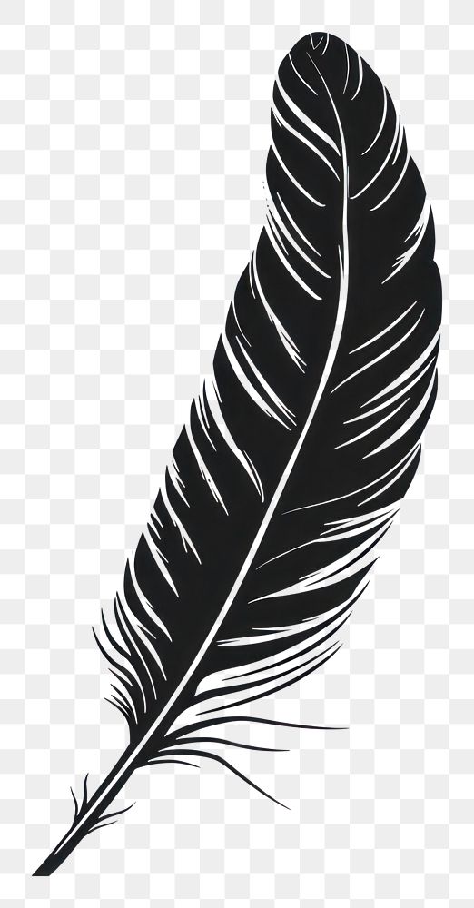 PNG Feather black logo leaf.