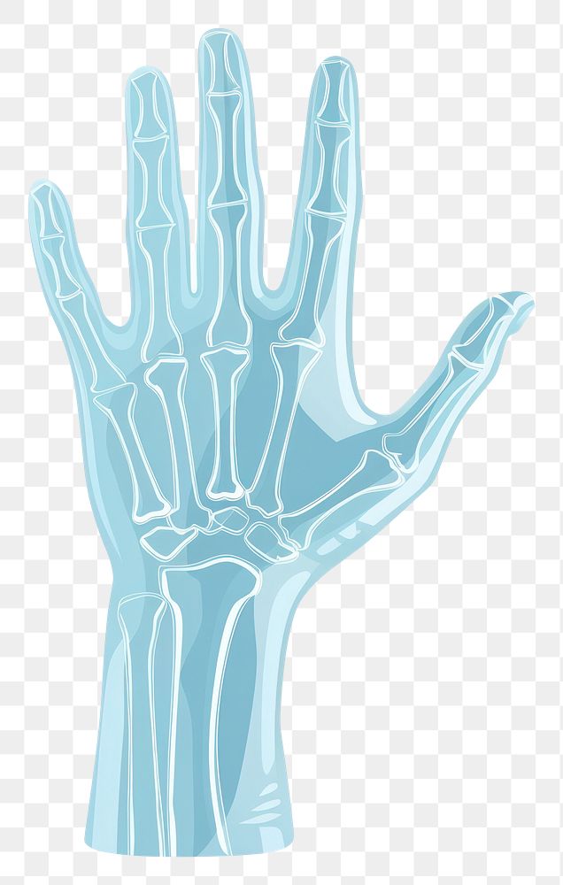 PNG Hand icon anatomy medical white background.