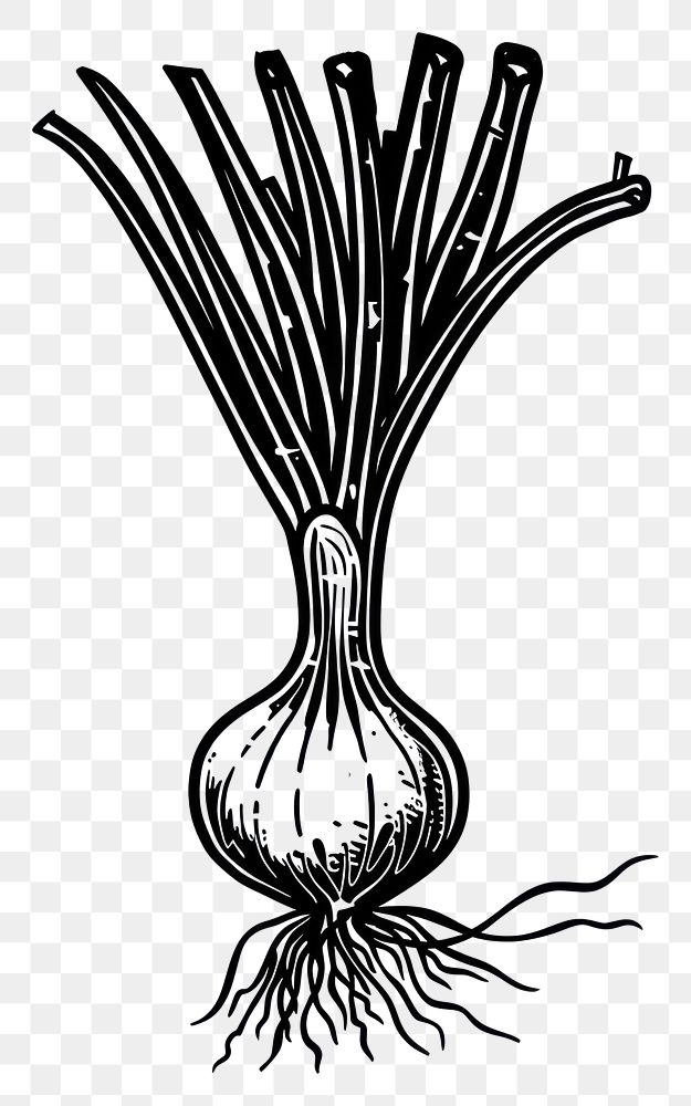 PNG Spring onion monochrome vegetable cartoon.