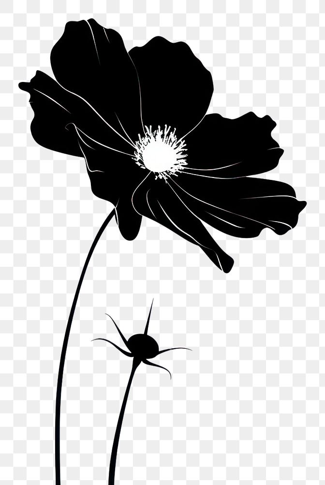 PNG Flower silhouette clip art plant petal white