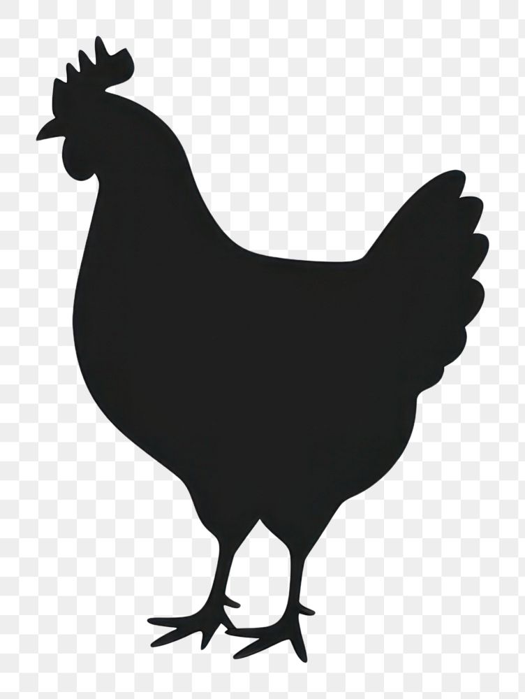 PNG Chicken icon silhouette clip art poultry animal bird.