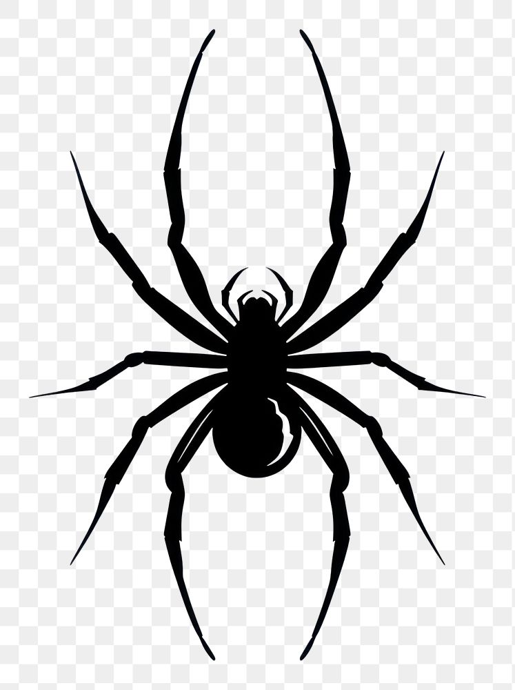 PNG Spider silhouette clip art spider invertebrate arachnid.