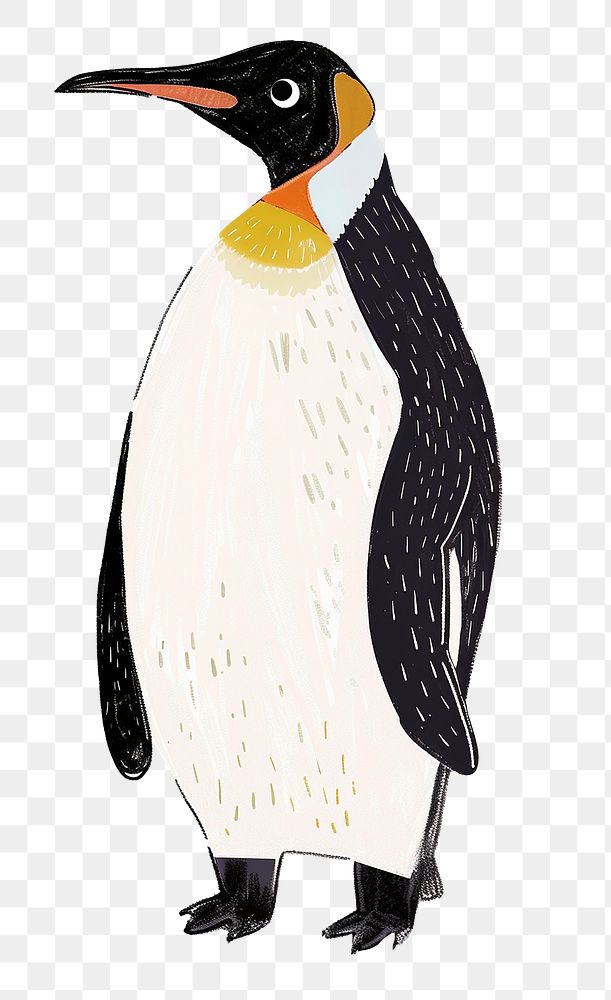 Penguin png cute animal, transparent background